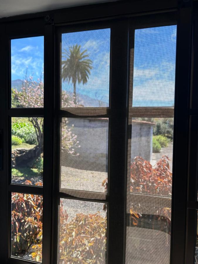 Casa Antigua Konuk evi El Paso Dış mekan fotoğraf